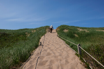 pathway through dunes to the beach of prince edward island Canada. High quality photo
