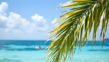 Fototapeta premium a serene tropical beach setting. a palm tree with long green leaves stands prominently in the foreground against a clear blue sky. the tree is partially obscured by a bright yellow leaf