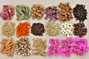 Various Traditional Chinese Herbal Medicine Ingredients Displayed as Background Concept