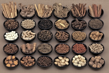Various Traditional Chinese Herbal Medicine Ingredients Displayed as Background Concept