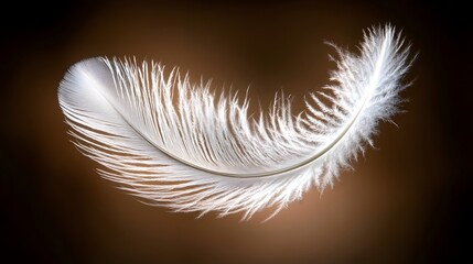 Floating White Feather on Brown Background Softness Lightness Delicate