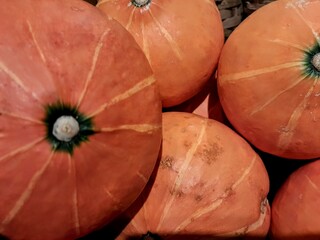A close-up view of several ripe orange pumpkins with green stems, showcasing their smooth texture...