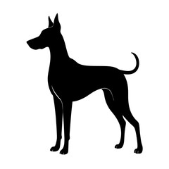 Fototapeta premium Black silhouette of a cute Great Dane on white background vector illustration