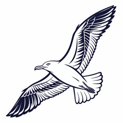 Seagull Herring Gull Continuous Line Drawing with Editable Stroke and Color Elements