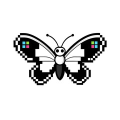 butterfly on a white background