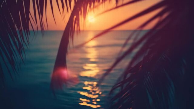 Palm tree silhouette against a vibrant sunset over the ocean. Golden light reflecting on calm beach water for summer vacation footage.