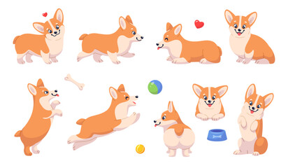 Obraz premium Cute corgi dog character. Funny dog with short legs, various puppy activities and poses, domestic animals play with ball toy, happy pet, breed mammal, classy vector cartoon flat set