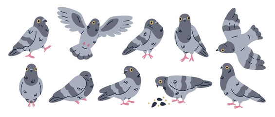 Cartoon comic dove character. Funny bird mascot in different poses, cute city pigeon, pecks at seeds, flying, sleeping, doodle style, freedom and peace character garish vector isolated set