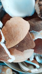 fresh coconut in a large bowl
