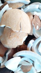 fresh coconut in a large bowl
