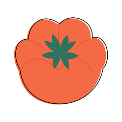 Vector illustration of a red tomato with green calyx.