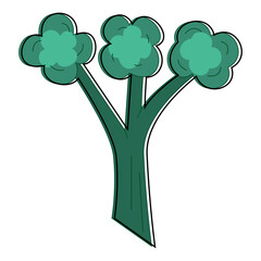 Vector illustration of fresh green broccoli with three florets.