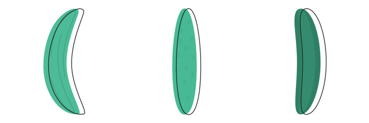 Vector illustration of cucumber slices in green color.