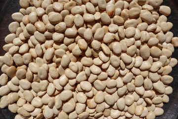 Top view of Dry Broad beans, Indian lentils pulses fava beans