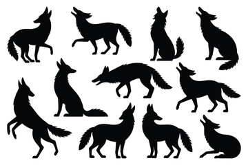 Set of Coyote silhouettes in various poses. isolated vector on white background.