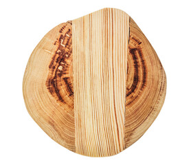 Isolated photo of decorative wooden stump on white background.