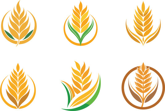 Elegant Wheat Ear Logo Designs perfect for branding agriculture food products or bakery businesses offering versatile design options for various applications