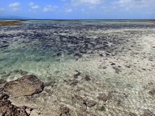 Seascape of lagoon in Taketomi island in sunlight with turquoise sea in low tide. Okinawa, japan.