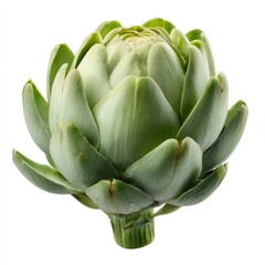Fototapeta premium Fresh Green Artichoke Vegetable Close Up Studio Shot Isolated on White Background