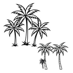 Fototapeta premium Tropical Palm Tree Illustrations Line Art Designs for Summer Projects