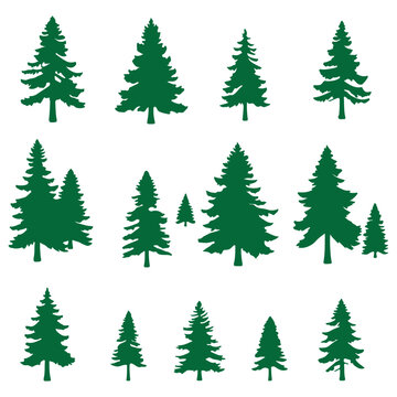 Forest trees set. Isolated vector silhouette. Coniferous forest. Christmas tree, fir-tree, pine, pine-tree, Scotch fir, cedar