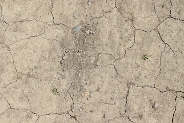 A close view on the dry hard cracked dirt surface.