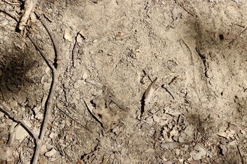 A close view of the hard dry dirt ground surface.