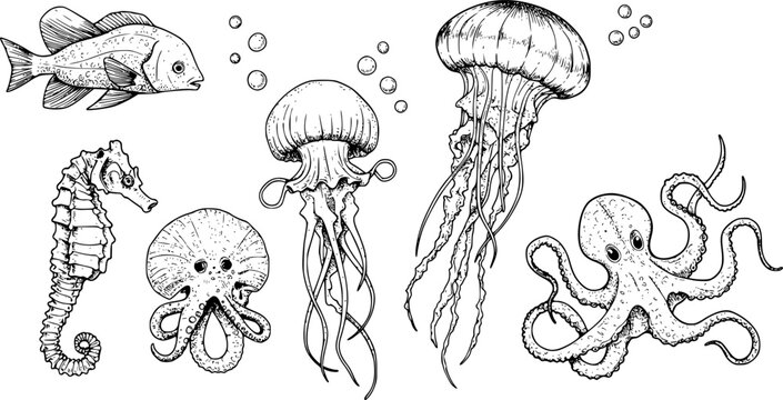 Vector set with Sea Animals. Hand drawn sketch of Seahorse, Jellyfish and Octopus. Illustration with underwater sealife painted by black inks in line art style. Engraving of medusa for icon or logo.