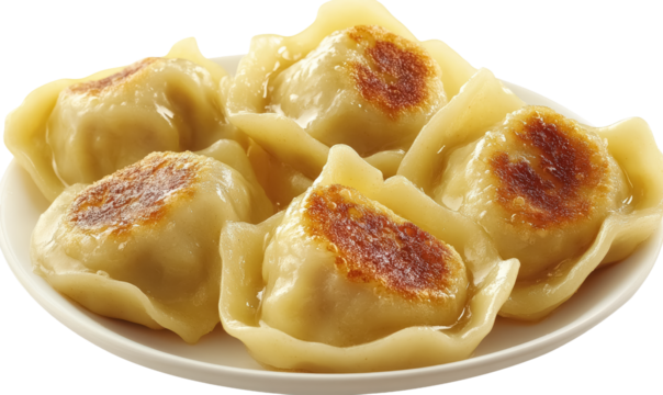 Delicious Fried Dumplings on a Plate