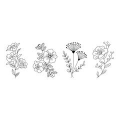 Four floral arrangements isolated on white background in line art