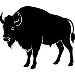 vector illustration of a buffalo