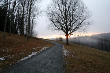 Obraz premium Foggy sunset illuminating a winding path through a forested area
