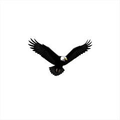 Obraz premium american bald eagle vector 