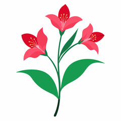 Alstroemeria Outline: Lily

