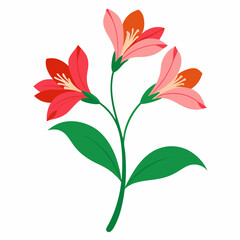 Alstroemeria Outline: Lily


