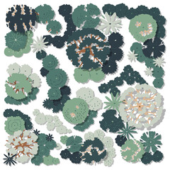 hand drawn cute cartoon vector illustration set top view of tree isolated on white background.