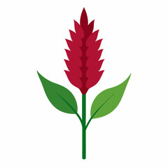 Amaranth Outline Icon: Vector Plant

