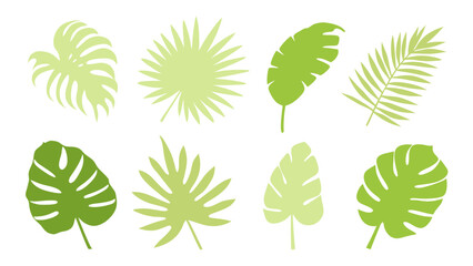 Set of colourful tropical palm leaves vector © Creative vector