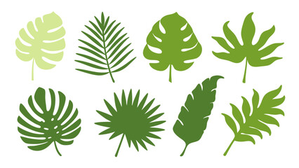 Set of colourful tropical palm leaves vector © Creative vector