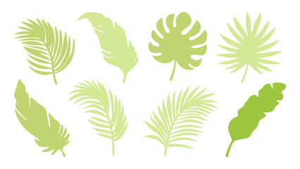 Set of colourful tropical palm leaves vector © Creative vector