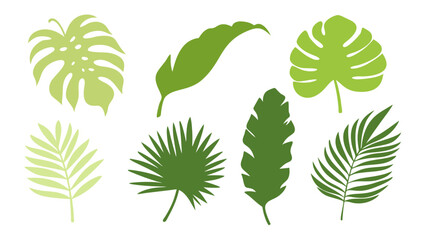 Set of colourful tropical palm leaves vector © Creative vector