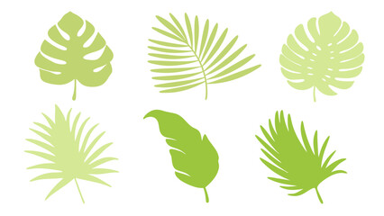 Set of colourful tropical palm leaves vector