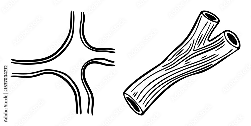 Poster Vector Branching tubular structures with linear details.