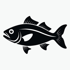 fish on a white background