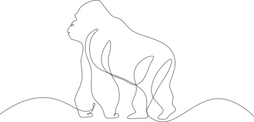 Gorilla Line art vector illustration. Continuous one single minimal line drawing Gorilla © The Little Foot