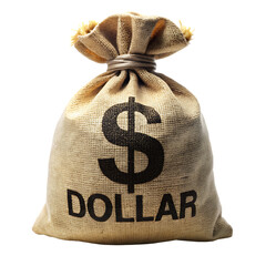 bag with money with dollar sign isolated on white background PNG, AI GENERATED