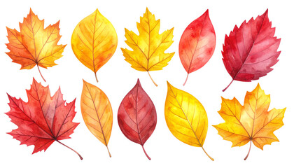 秋の紅葉、葉っぱセット（水彩画テクスチャのイラスト素材）