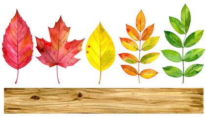 秋の紅葉、葉っぱセット（水彩画テクスチャのイラスト素材）