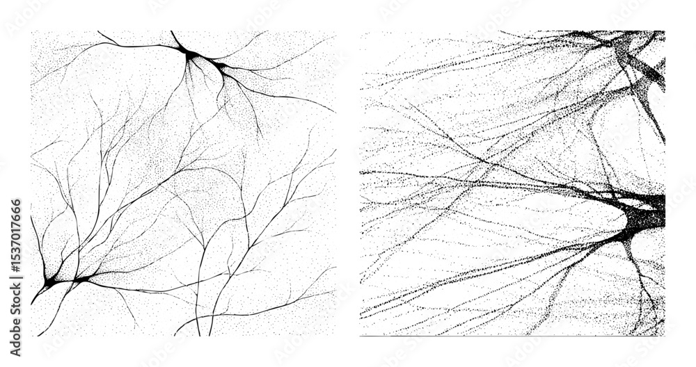 Poster vector detailed neuron illustrations depict branching dendritic structures.