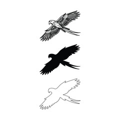 Fototapeta premium flying parrot silhouette vector outline line art style on white background